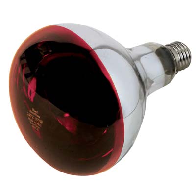LAMPADA RIFLETTORE PULCINI PHILIPS - INFRAROSSI VOLT 230 WATT 150 E27 MM 125