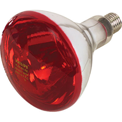 LAMPADA RIFLETTORE PULCINI - INFRAROSSI VOLT 230 WATT 150 E27 MM 125