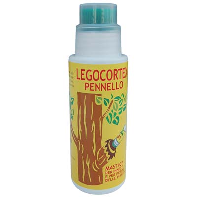 MASTICE X INNESTO LEGOCORTEX COPYR - GR 250 + PENNELLO