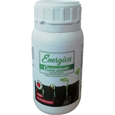 RADICANTE POLVERE ENERGICA - GR 100