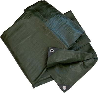 TELONE OCCHIELLATO PE PESANTE VERDE WORKIT - GR/MQ 180 MT 5X5 + POLIECO