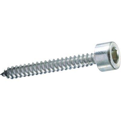 VITE AUTOFILETTANTE TCCE AMBROVIT - ZINCATA BIANCA MM 4,8X16 CF=PZ 500