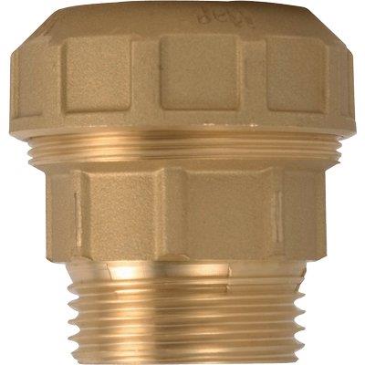 MANICOTTO A COMPRESSIONE FIL MASCHIO PN25 715 ITAP - OTTONE MM 20X1/2M