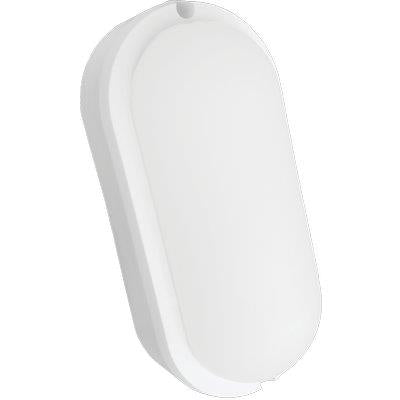 PLAFONIERA LED ECO EASY OVALE CENTURY - BIANCA VOLT 230 W 12 NAT LN 960 IP64