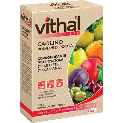 CORROBORANTE POLVERE CAOLINO VITHAL BIO KB