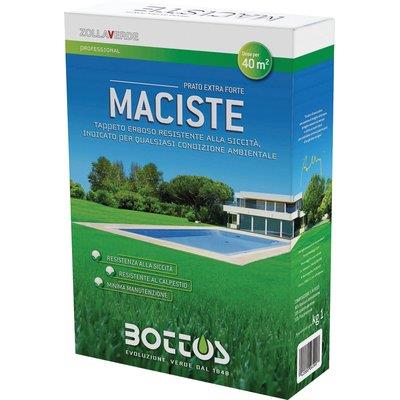 SEME PRATO MACISTE BOTTOS