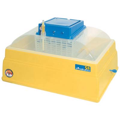 INCUBATRICE COVATUTTO  54 NOVITAL - UOVA 54 CM 60X26 H.CM 42