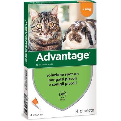 ANTIPARASSITARIO ADVANTAGE GATTI ELANCO - KG  0/4 CF=PZ 4