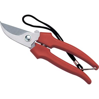FORBICE RACCOLTA A MEZZALUNA AUSONIA - CM 19