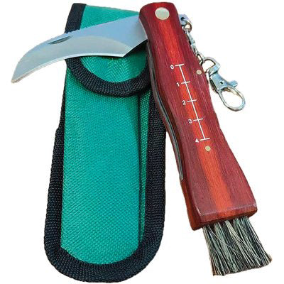 COLTELLO SERRAMANICO X FUNGHI - INOX/LEGNO + SPAZZOLINO CM 19 + FODERO