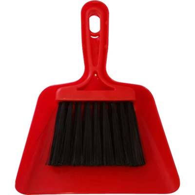 PALETTA E SCOPETTA PULIZIA AUTO - PLASTICA/FIBRA SINTETICA