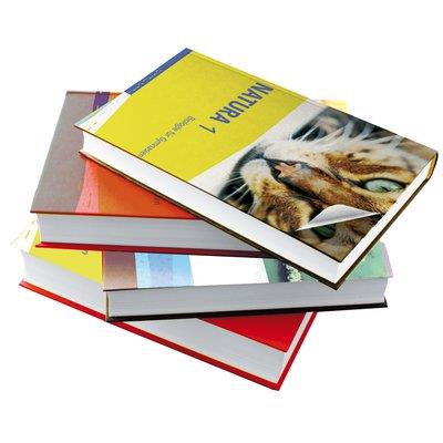 PLASTICA ADESIVA 1962 HOME DECO - TRASPARENTE OPACO H.CM 45 L.MT 15
