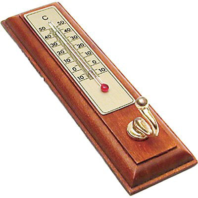 TERMOMETRO PRONTY - LEGNO -10/+50°C CM 17,5X4,0