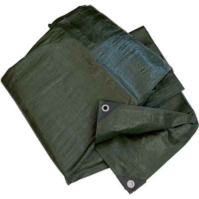 TELONE OCCHIELLATO PE LIGHT VERDE WORKIT - GR/MQ 75 MT 6X8 + POLIECO