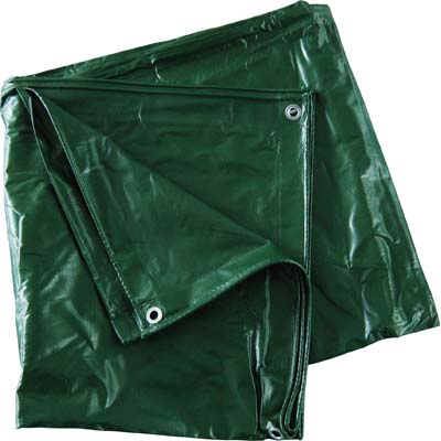 TELONE OCCHIELLATO PVC PESANTE VERDE EFFE - GR/MQ 540 MT 6X 8
