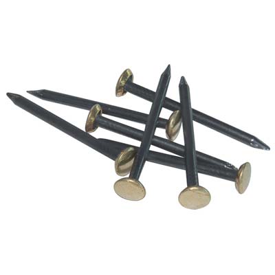 CHIODO TESTA OTTONE - ACCIAIO CF=PZ 100 MM 20