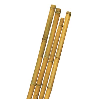 TUTORE CANNA BAMBOO STARS - MM MAX 28 H.CM 240