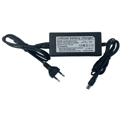 CARICABATTERIA EAGLE PRO FURIA AIMA - VOLT 21 AH 2