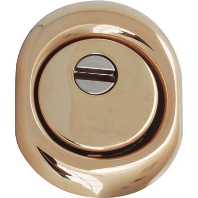 DEFENDER MONOLITO BD200 DISEC - OTTONE LUCIDO F.SAG I.MM 38 D. MM 50 H. MM 25