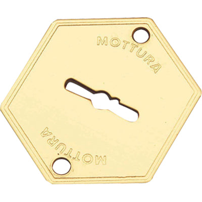 MOSTRINA PORTA BLINDATA 95223 MOTTURA - DM OTTONE MM 52X64