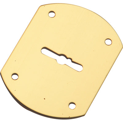 MOSTRINA PORTA BLINDATA A BOTTE 95223/B MOTTURA - DM OTTONE MM 52X70