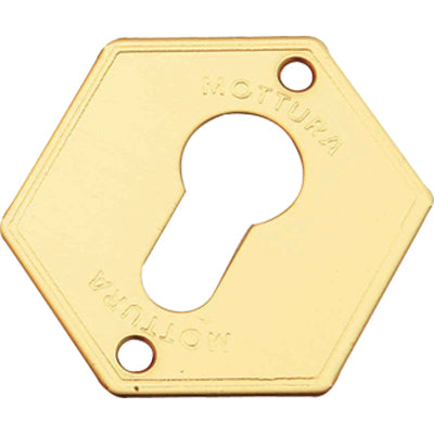 MOSTRINA PORTA BLINDATA 95297 MOTTURA - F.SAGOM OTTONE MM 52X64