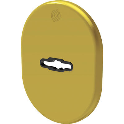 MOSTRINA PORTA BLINDATA 4301 SECUREMME - DM OTTONE LUCIDO MM 82X62