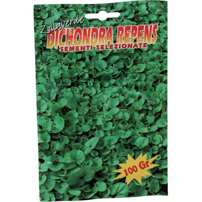 SEME PRATO DICHONDRA REPENS BOTTOS
