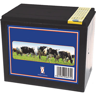 BATTERIA X ELETTRORECINZIONE