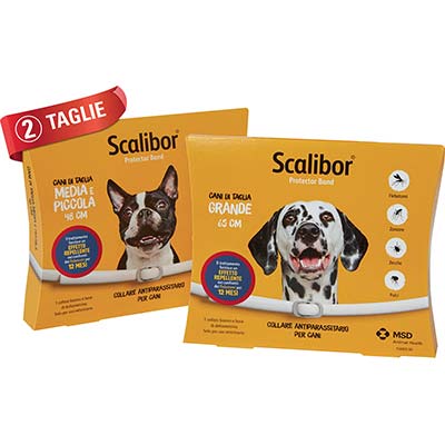 COLLARE ANTIPARASSITARIO SCALIBOR