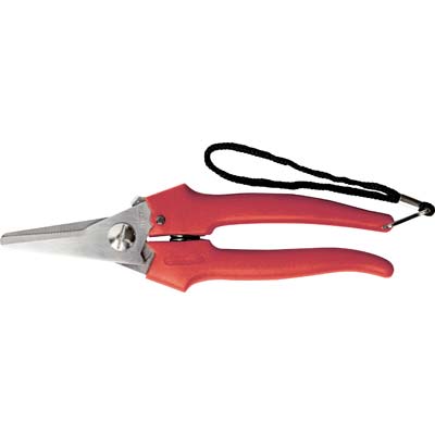 FORBICE RACCOLTA A PUNTA LARGA AUSONIA