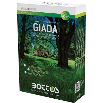 SEME PRATO GIADA BOTTOS