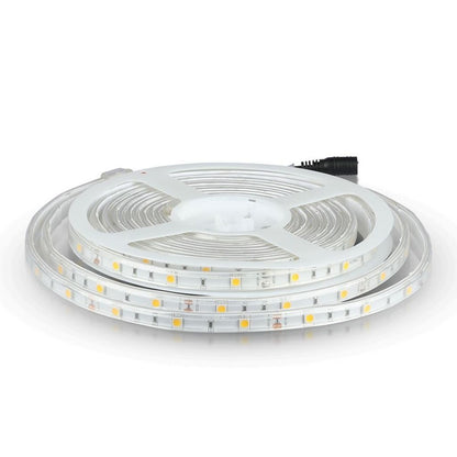 LED Strip SMD5050 - 30 LEDs 6400K IP65