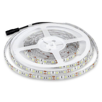 LED Strip SMD5050 - 60 LEDs 6000K IP65