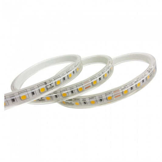 LED Strip Smd5050 - 60 LEDs 24V 6400K IP65