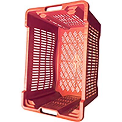 CASSA ORTOFRUTTA SALVASPAZIO ICS