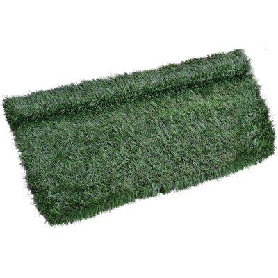 SIEPE SEMPREVERDE AGHI GREEN SCREEN