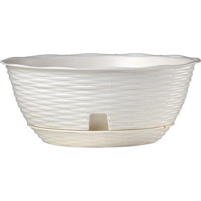 CIOTOLA PAGLIA + SOTTOVASO BAMA