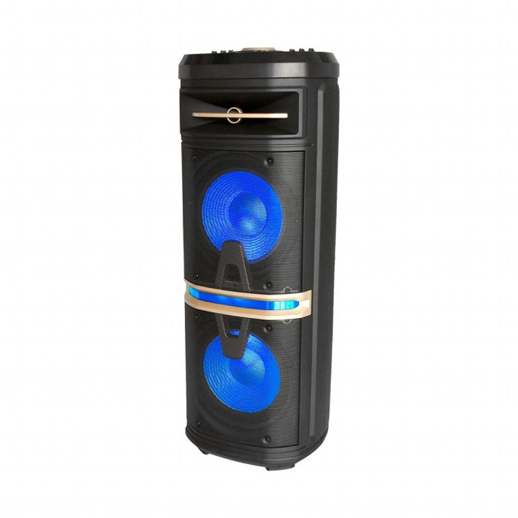 120W Rechargeable Trolley Speaker With One Wireless + One Wired Microphone RF Control RGB 2*10 inch